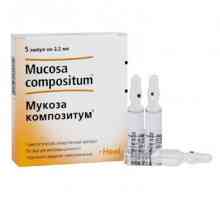 Лекарството "Mukoza compositum" е отлично средство за възпаление и инфекции
