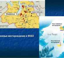 Местно поле (Yamalo-Nenets AO): годината на откриване и развитие