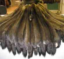 Sable fur: снимка, описание. Козината на мартен и саблез е разликата. Продукти от саблемна кожа