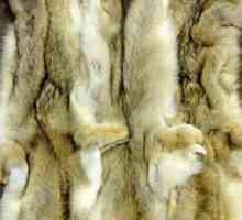 Fur фабрика в Русия. Производство на кожени изделия