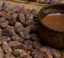 Мексиканска древна национална напитка. История на шоколада