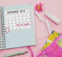 Менструален цикъл: норма, неизправност и възстановяване