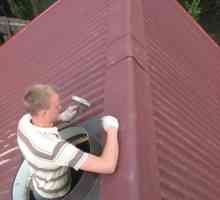 Метална плочка или ондулин: кое е по-добре? Какво да поверите на вашия покрив?