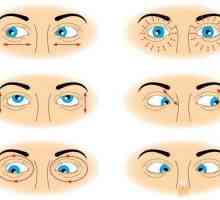 Метод 20-20-20 и други начини за защита на очите от ефектите на компютъра