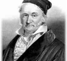 Gauss метод: примери за решения и специални случаи