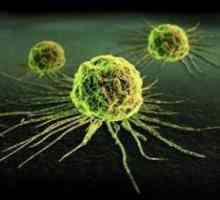 Методи за откриване на ракови клетки в човешкото тяло