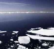 Международен правен режим на Арктика и Антарктика