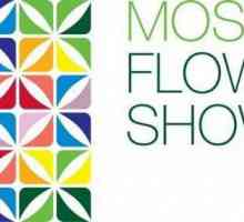 Международен фестивал на цветята в Москва: къде и кога се провежда?