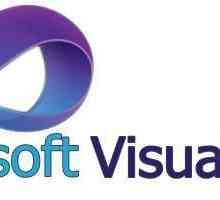 Microsoft Visual C ++: какво е това и защо?