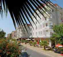 Millennium Park Hotel 3 *, Турция: описание и ревюта