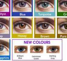 Меки цветни лещи FreshLook ColorBlends: описание, ръководство и рецензии