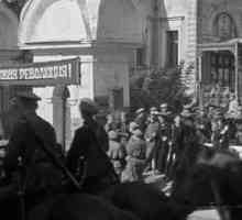 Бунтът на левите социалисти-революционери през юли 1918 г .: причини и последици