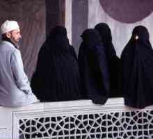 Полигамията в исляма: условия, правила. Защо полигамията е разрешена в исляма?