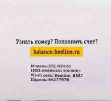 Мобилен WiFi маршрутизатор "Beeline". Списък на доставките, предназначението,…