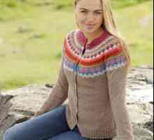 Модни пуловери с игли за плетене: схеми, описание на работата
