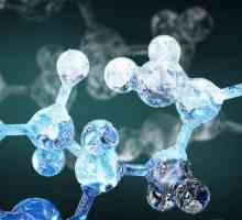 Молекулна структура и физични свойства