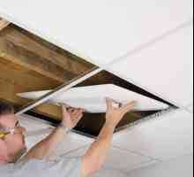 Монтиране на фалшив таван: технология, видове, устройство