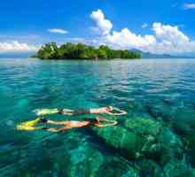 Море Сулавеси: местоположение, описание и фауна