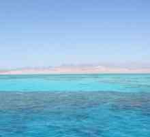 Египетско море: Червено и Средиземно море