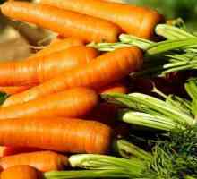 Морковите са плодове или зеленчуци? В Русия - един зеленчук, в Португалия - плод