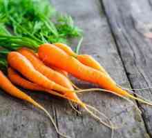 Салата от моркови: рецепта, функции за готвене и препоръки