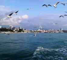 Море разходки в Геленджик: избор на маршрут и кораб, описание