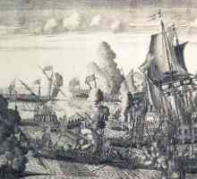 Морската битка при нос Гангут (1714 г.)