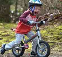 Мотоциклетизъм за деца: описание, рецензии. Беговел за деца от 2-годишна възраст