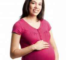 Мога ли да плета за бременни жени? Какво може и какво не може да направи бременните жени