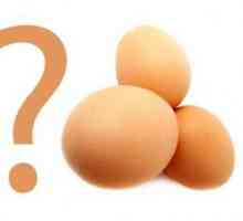Могат ли яйцата да бъдат кърмени?