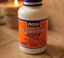Възможно ли е да купите "L-Карнитин" в аптека? Инструкция и прегледи за лекарството.…