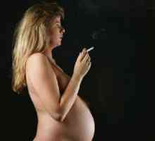Мога ли да пуша по време на бременност и е вредно за плода?