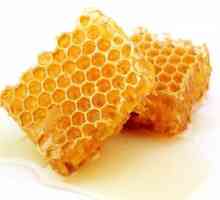 Може ли медът да се съхранява в пластмасови контейнери? При каква температура трябва да се…