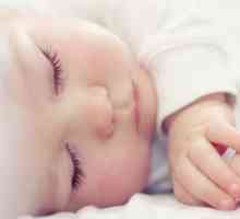 Възможно ли е новороденото да спи на стомаха след хранене? Възможно ли е новороденото да спи на…