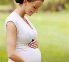 Мога ли да забременея на първия ден от месеца? Мога ли да забременея по време на менструацията?