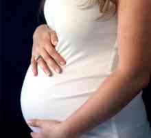 Мога ли да забременея без проникване? Какво казват експертите?