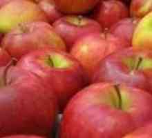 Възможно ли е да замръзнете ябълките за зимата, така че да са вкусни и консервирани витамини