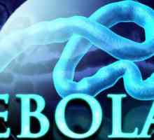 Мога ли да получа треската на Ебола чрез банани и други внесени продукти?