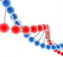 Многофакторни заболявания, тяхната генетика и разпространение