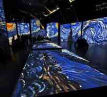 Мултимедийна изложба "Живи платна на Ван Гог": характеристики, препоръки на посетителите