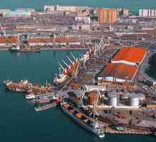 Мурманск търговски морски пристанище: история, описание, снимка