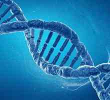 Мутация на хемостазни гени: прояви и последствия