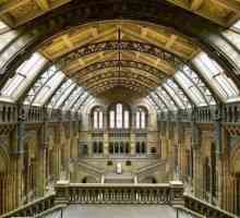 Природонаучен музей (Лондон): история на творението, зони, експонати