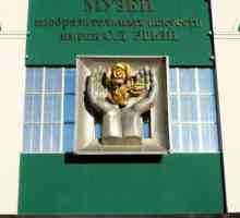 Музей Ержи (Саранск) - колекционерски експонати, изложби, екскурзии