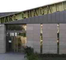 Музеят на Марк Чагал в Ница: Библейски теми
