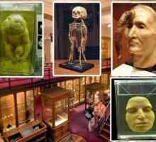 Музей на медицинската история Mutter, Пенсилвания: история, експонати, снимки