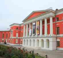 Музей на съвременната руска история. Музей, който запазва паметта на поколенията