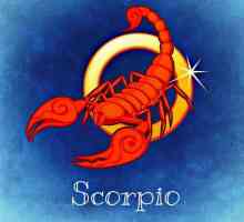Скорпион-Тигър Човек: Характеристики и Лични Характеристики