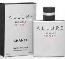 Мъжка тоалетна вода Allure Homme Sport Chanel. Отзиви, описание на аромата и типовете