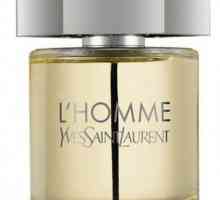 Мъжки парфюм Yves Saint Laurent: преглед на линията L`Homme